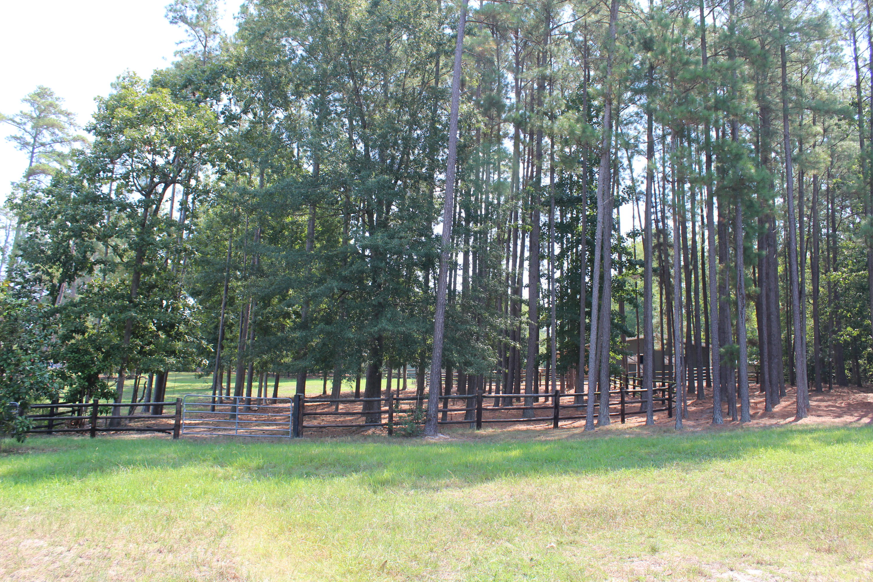 264 Causey Road Vass, NC 28394 - Photo 45 of 48 1 Acre Paddock 3