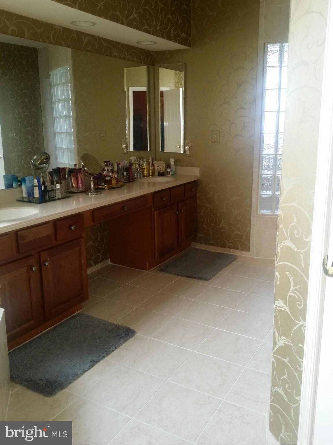 6600 Cork Tree Way Clinton, MD 20735 - Photo 18 of 19 Bath (Master)