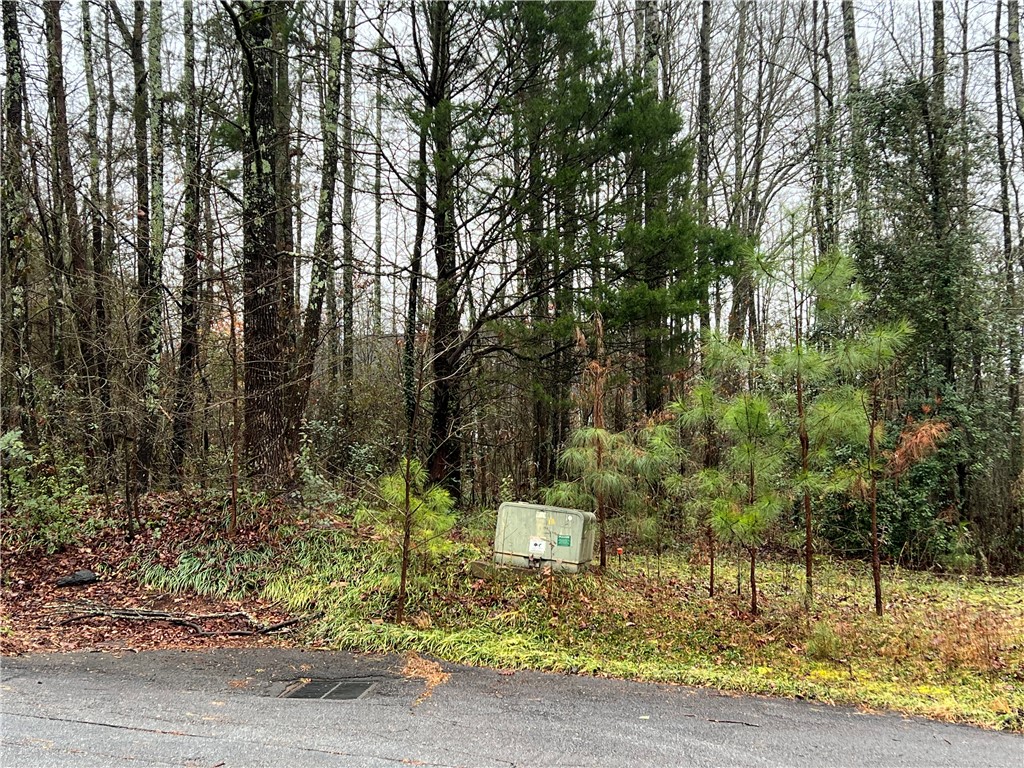 0 Prince Ranier Drive Clemson, SC 29631 - Photo 1 of 4 Gallery Image 1