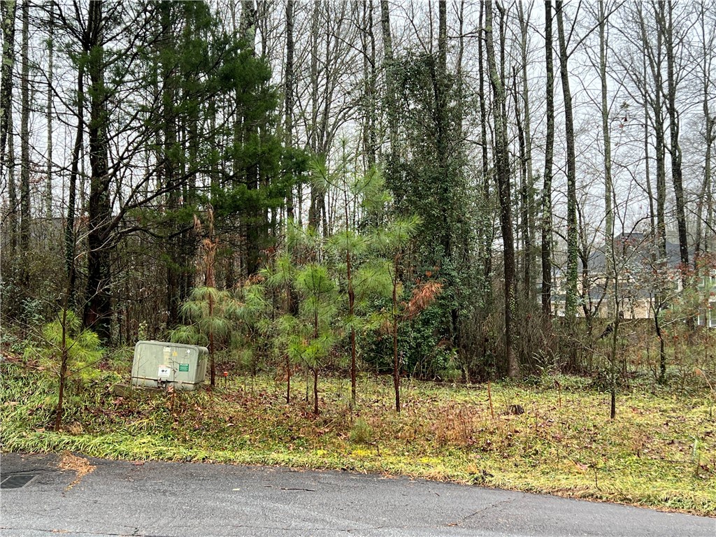 0 Prince Ranier Drive Clemson, SC 29631 - Photo 3 of 4 Gallery Image 3