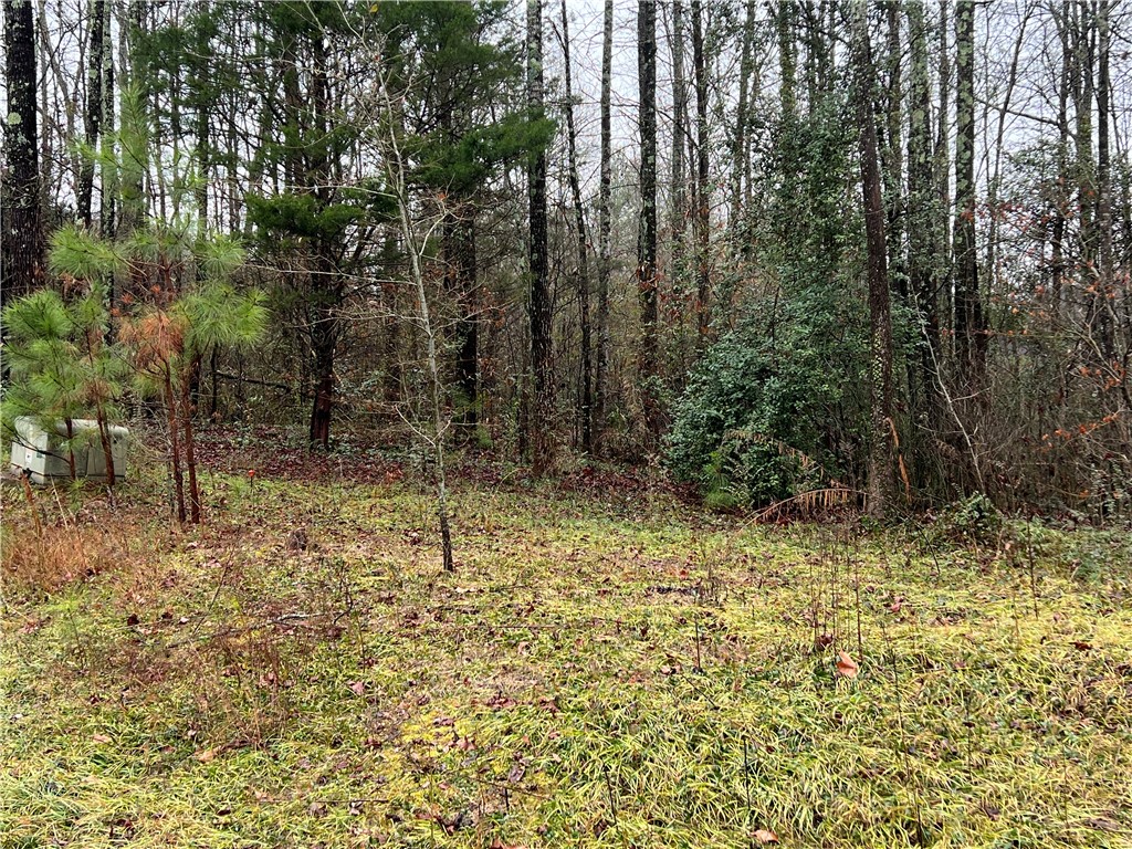0 Prince Ranier Drive Clemson, SC 29631 - Photo 4 of 4 Gallery Image 4