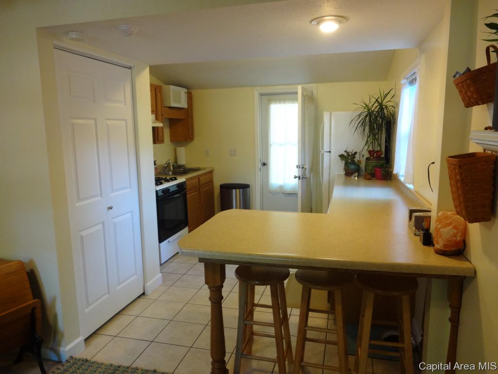1008 North Indiana Avenue Springfield, IL 62702 - Photo 5 of 18
