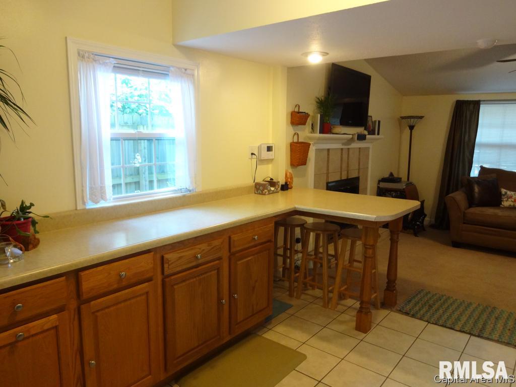 1008 North Indiana Avenue Springfield, IL 62702 - Photo 6 of 18