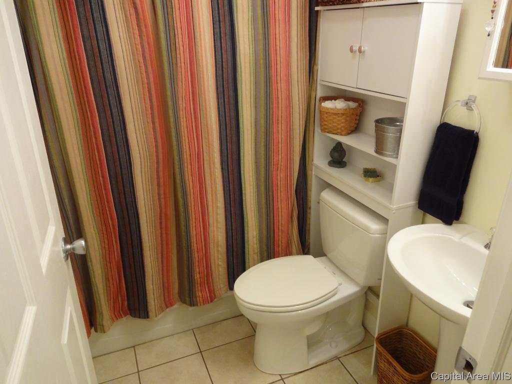 1008 North Indiana Avenue Springfield, IL 62702 - Photo 10 of 18