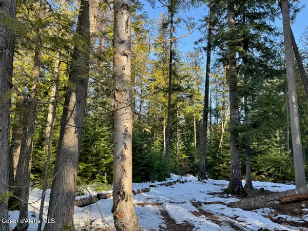 $247,000 | 9775 Bottle Bay Road, Sagle, ID 83860