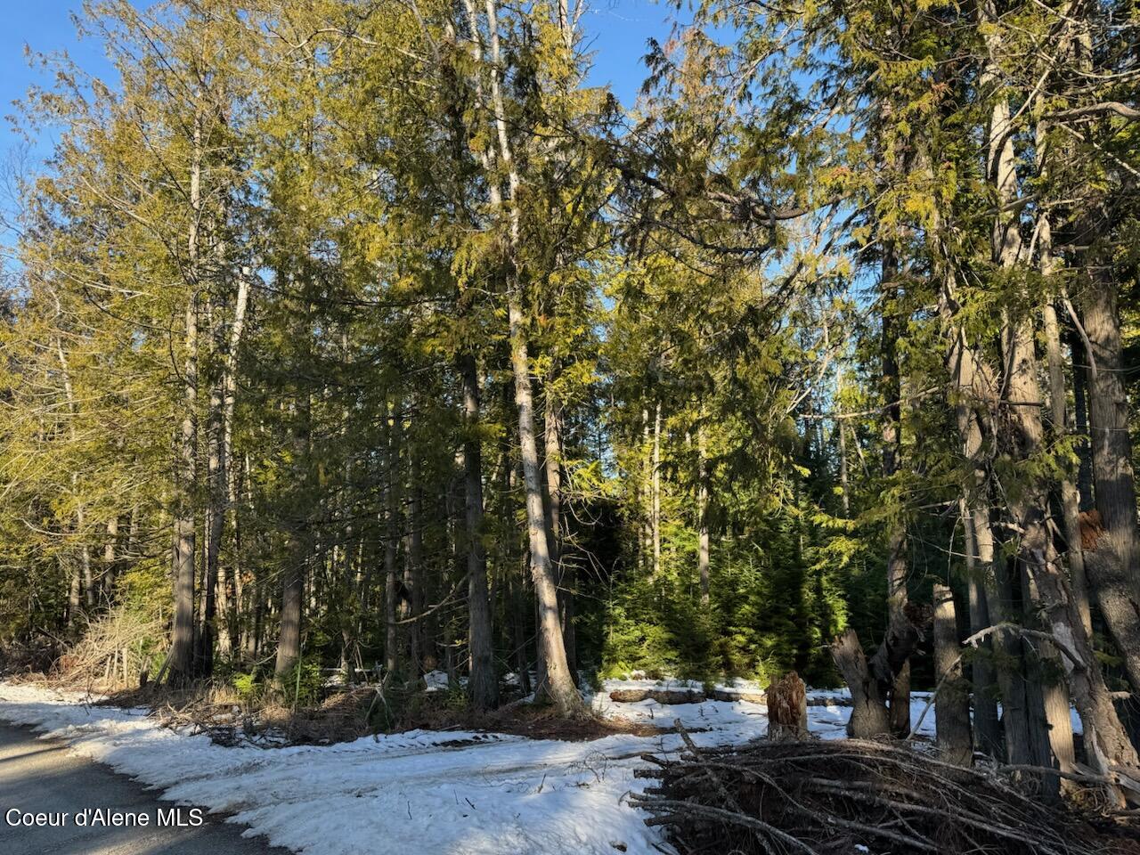 9775 Bottle Bay Road Sagle, ID 83860 - Photo 10 of 26 .