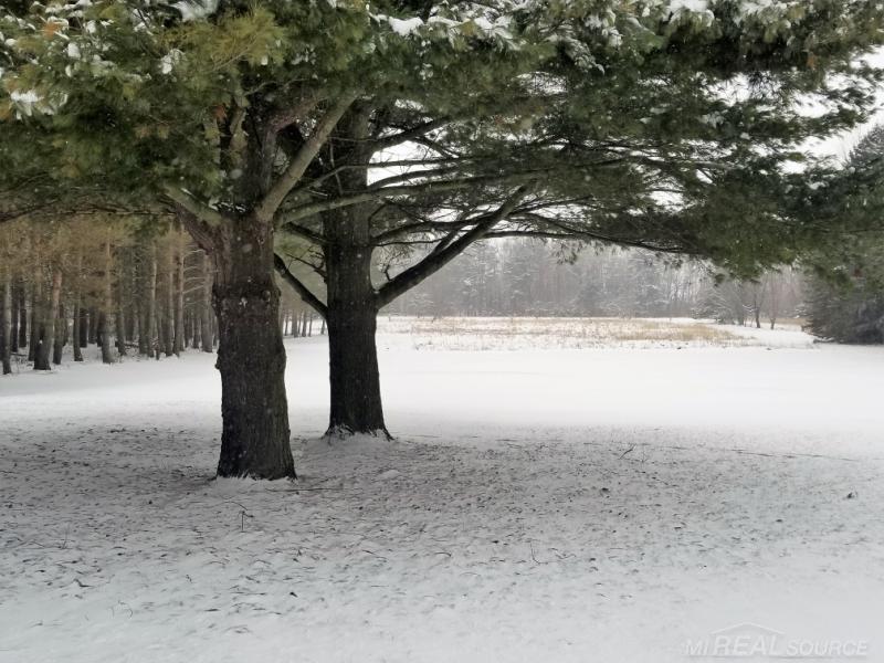 2800 Lakeshore Road Applegate, MI 48401 - Photo 8 of 10 Gallery Image 8