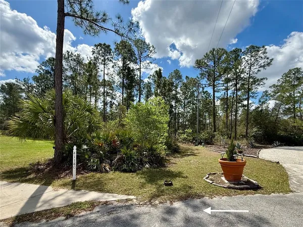a view of house with backyard and trees