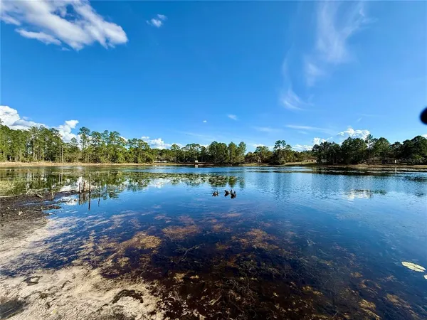 a view of a lake with a tree