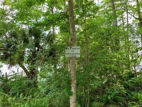 a view of a park that has large trees