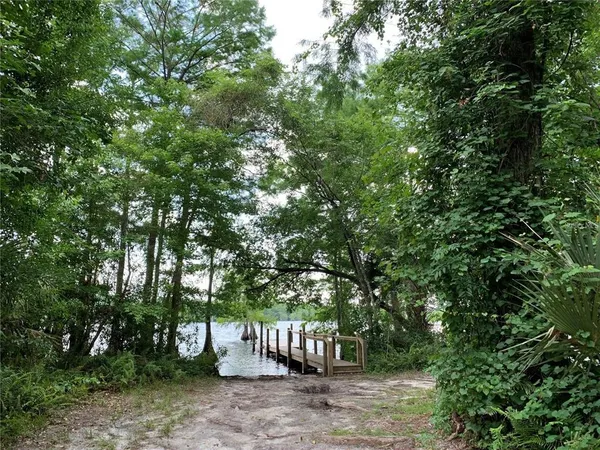 a view of a lake with a tree