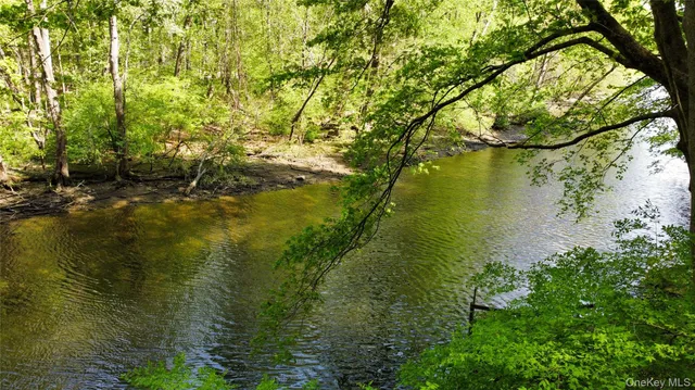 a backyard of a house with lots of trees
