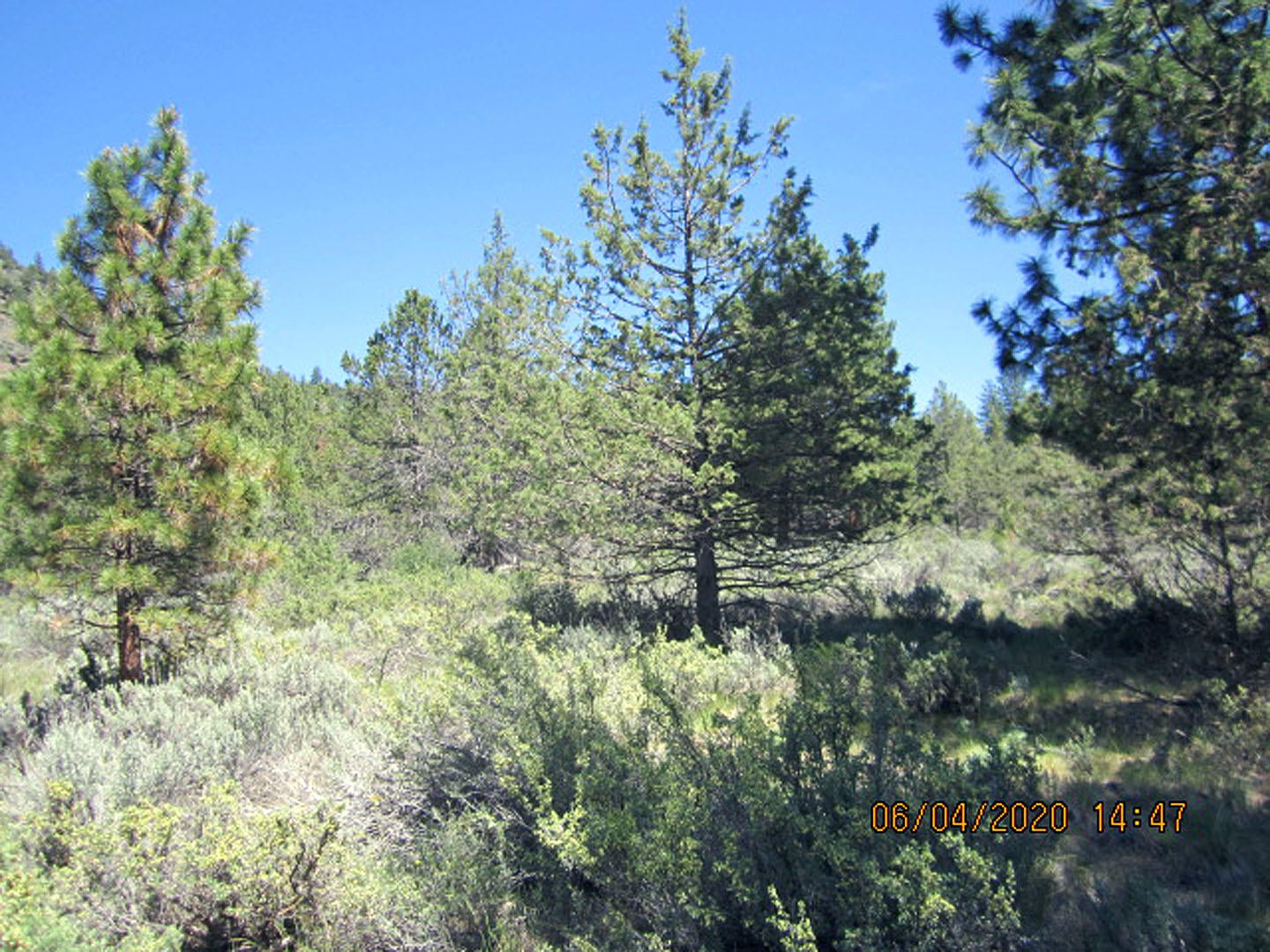 38 Twp Rnge 9 Sec 9 Sw4nw4 Road Klamath Falls, OR 97601 - Photo 19 of 19 Anderson-19