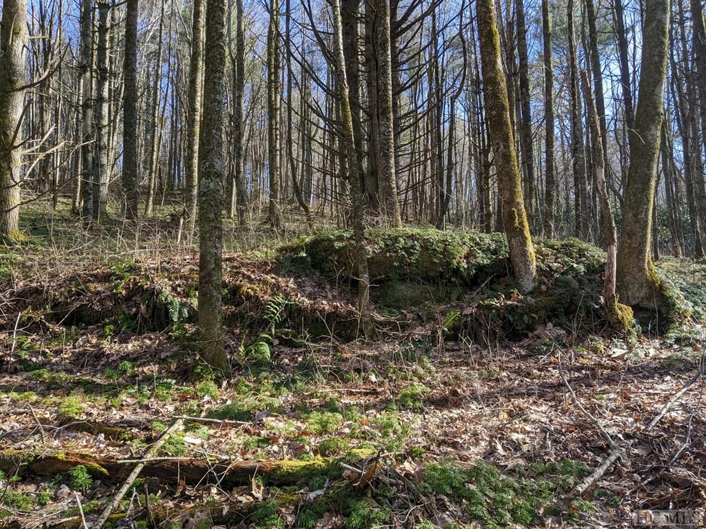 Lot 1 Big Ridge Road Glenville, NC 28736 - Photo 5 of 11 Gallery Image 5