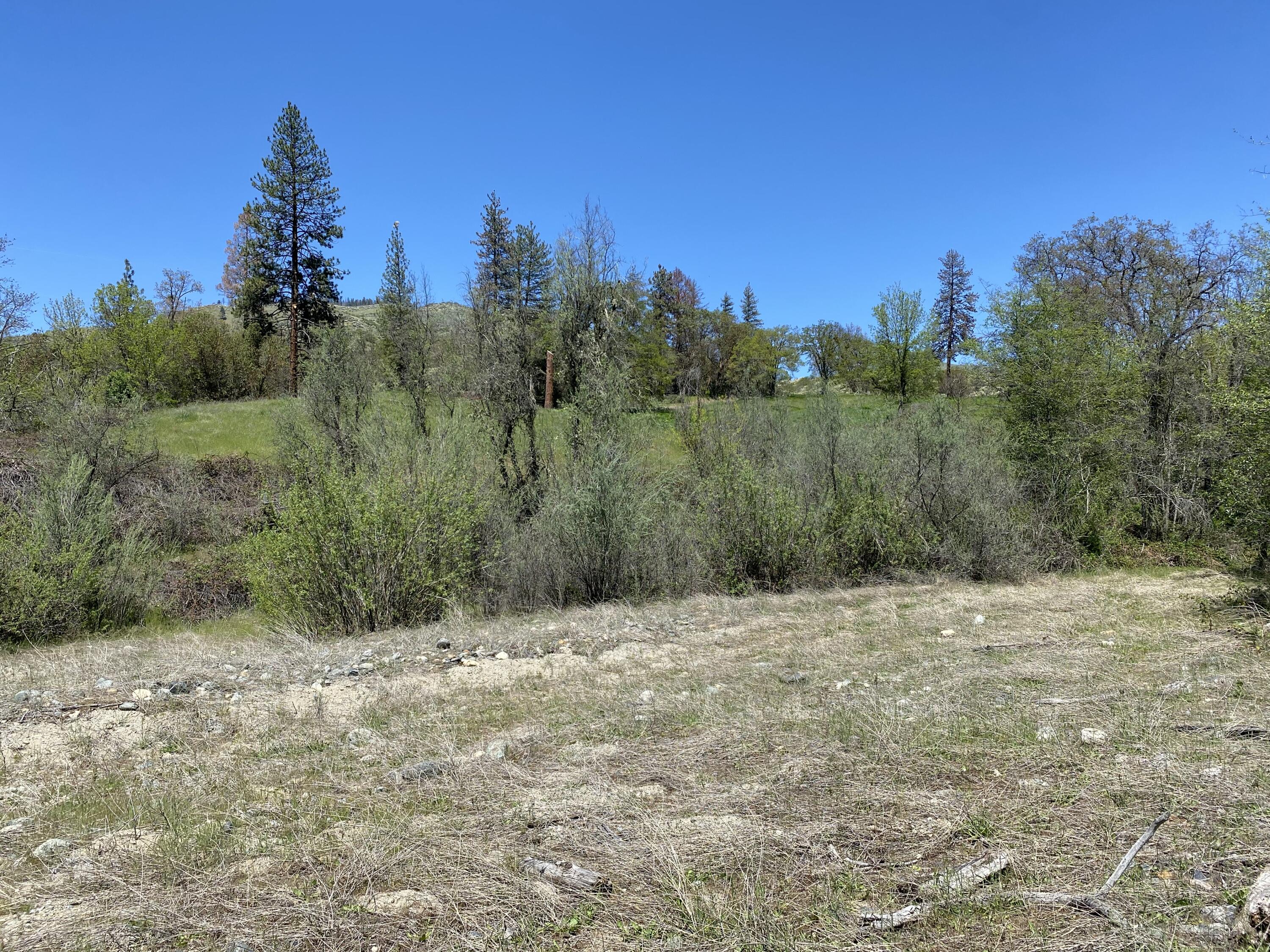 North Applegate Road Jacksonville, OR 97530 - Photo 22 of 51 from picnic area by river looking north