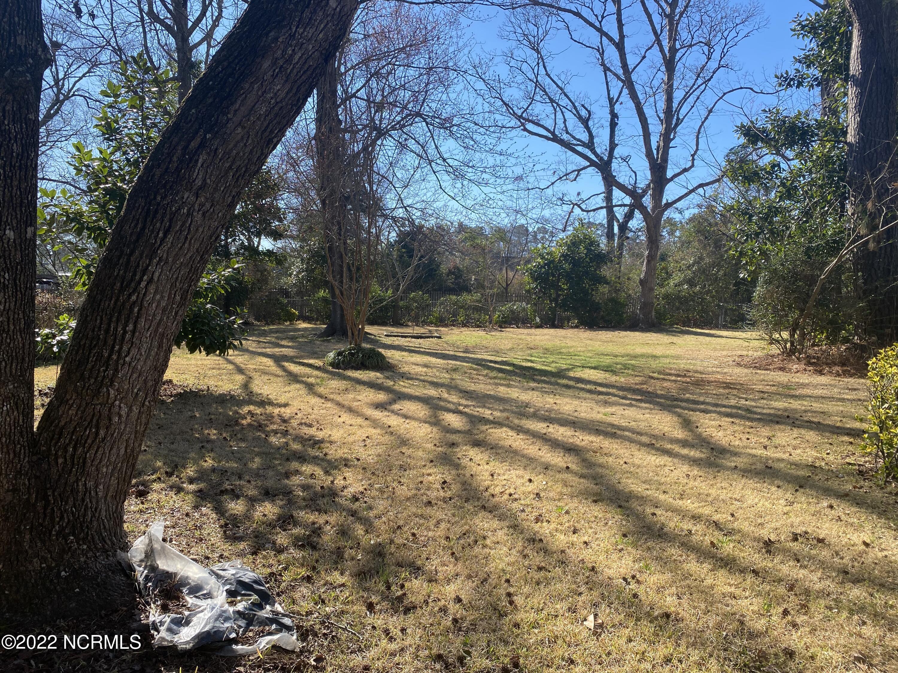 4103 Country Club Road Morehead City, NC 28557 - Photo 30 of 37 Backyard