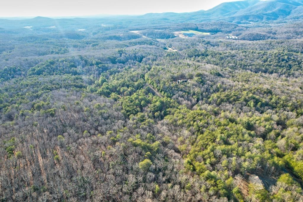 17.67-ac Rainbow Ridge Road Ellijay, GA 30536 - Photo 25 of 42 Gallery Image 25