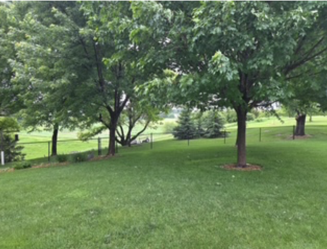 4691 Arctic Lane Northwest Rochester, MN 55901 - Photo 43 of 51