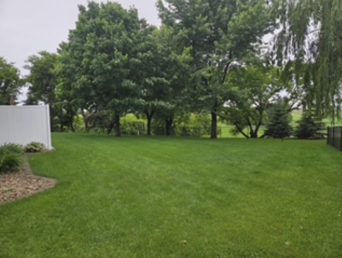 4691 Arctic Lane Northwest Rochester, MN 55901 - Photo 46 of 51