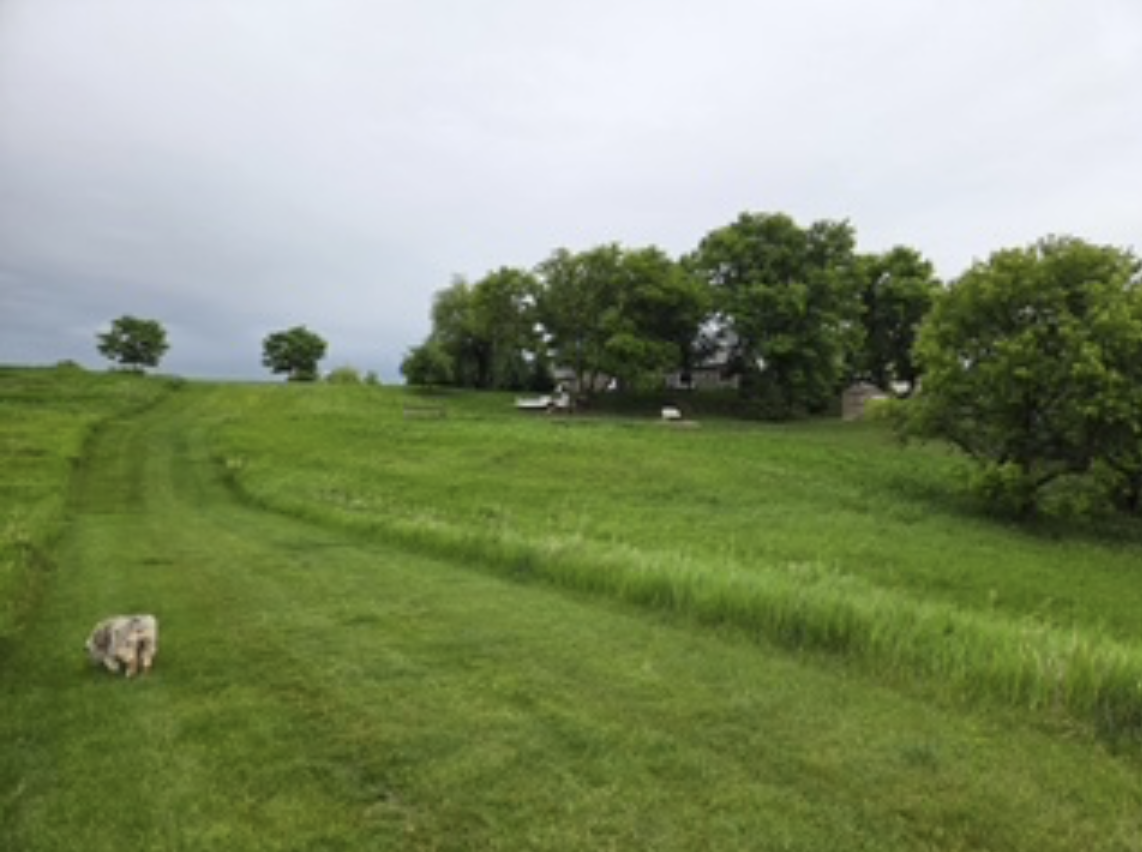 4691 Arctic Lane Northwest Rochester, MN 55901 - Photo 47 of 51