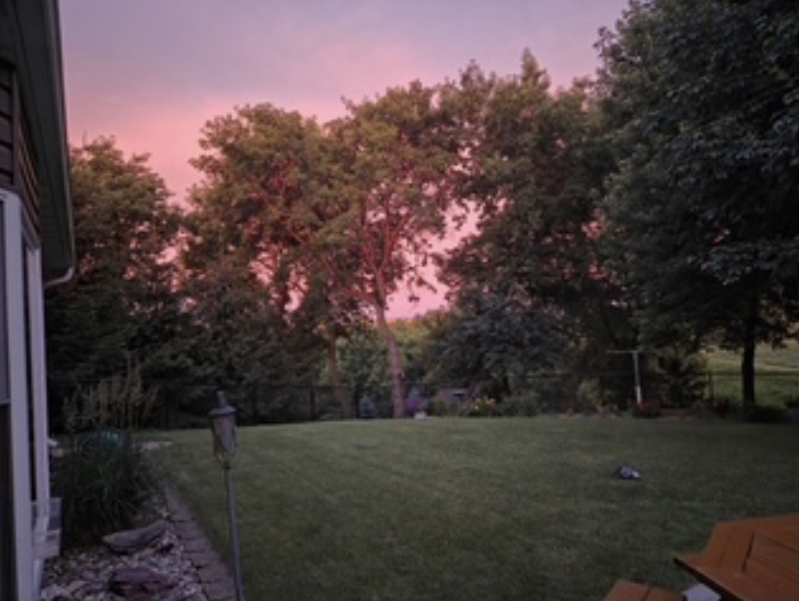 4691 Arctic Lane Northwest Rochester, MN 55901 - Photo 49 of 51