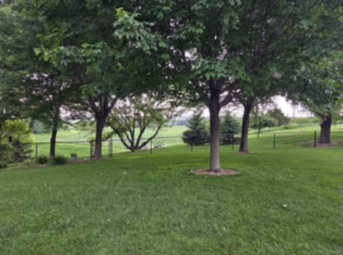 4691 Arctic Lane Northwest Rochester, MN 55901 - Photo 51 of 51