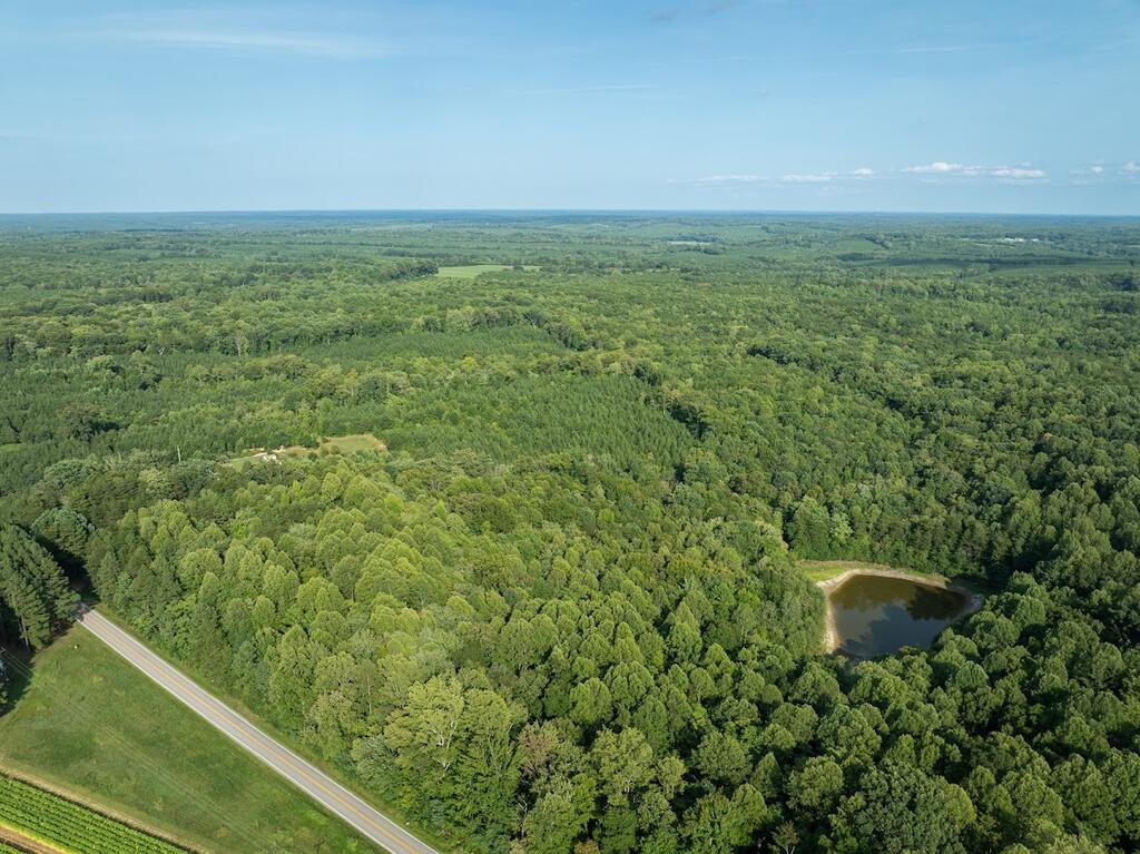 Riceville Road, Unit 2 Java, VA 24565 - Photo 4 of 24 Gallery Image 4