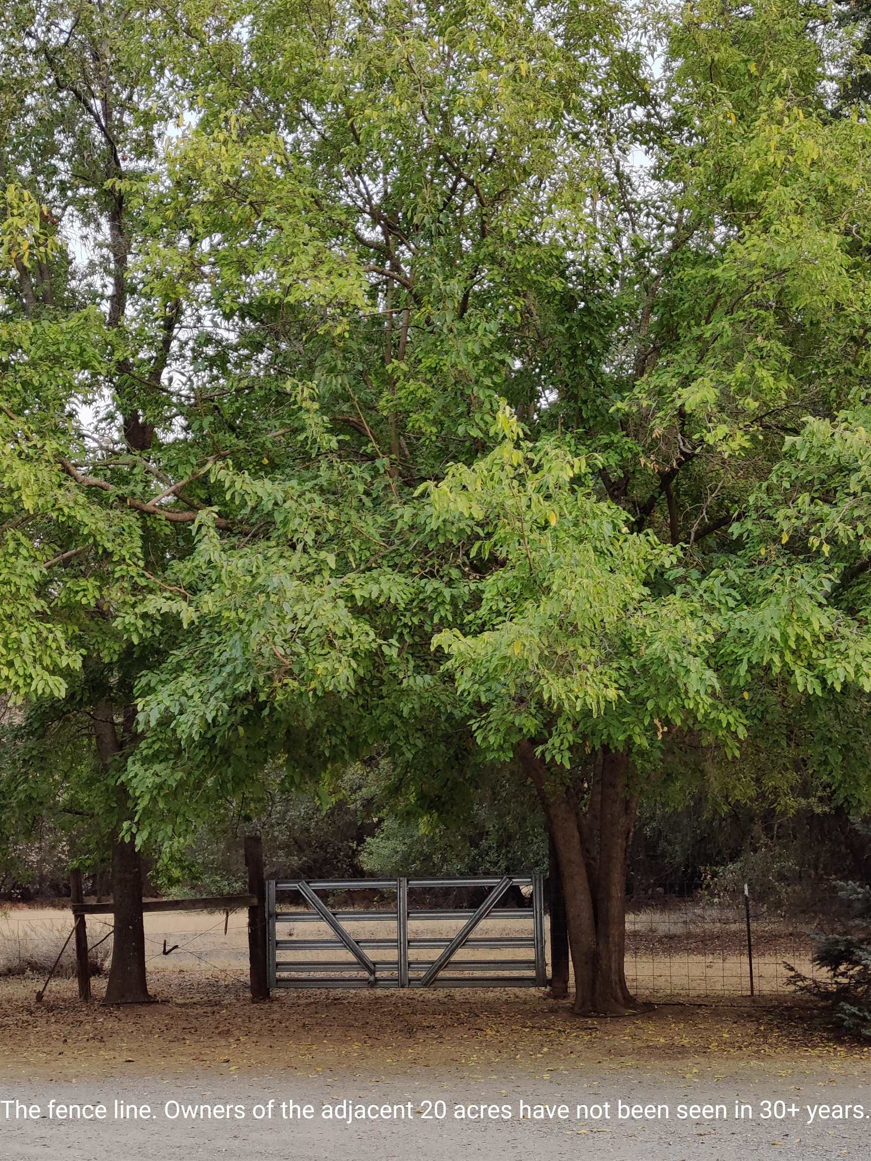 12455 Wilder Road Red Bluff, CA 96080 - Photo 68 of 73 a white house that has a tree in front of it