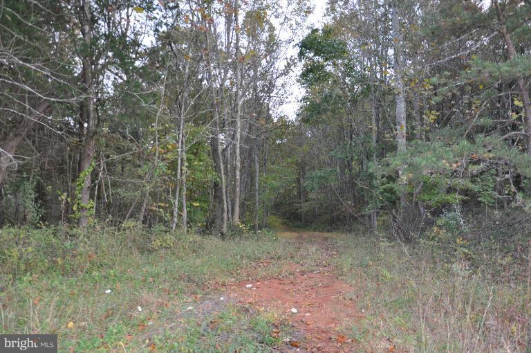 Battle Run Lane Castleton, VA 22716 - Photo 2 of 6 View