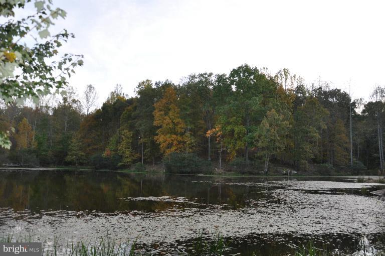 Battle Run Lane Castleton, VA 22716 - Photo 4 of 6 Magnificent Pond