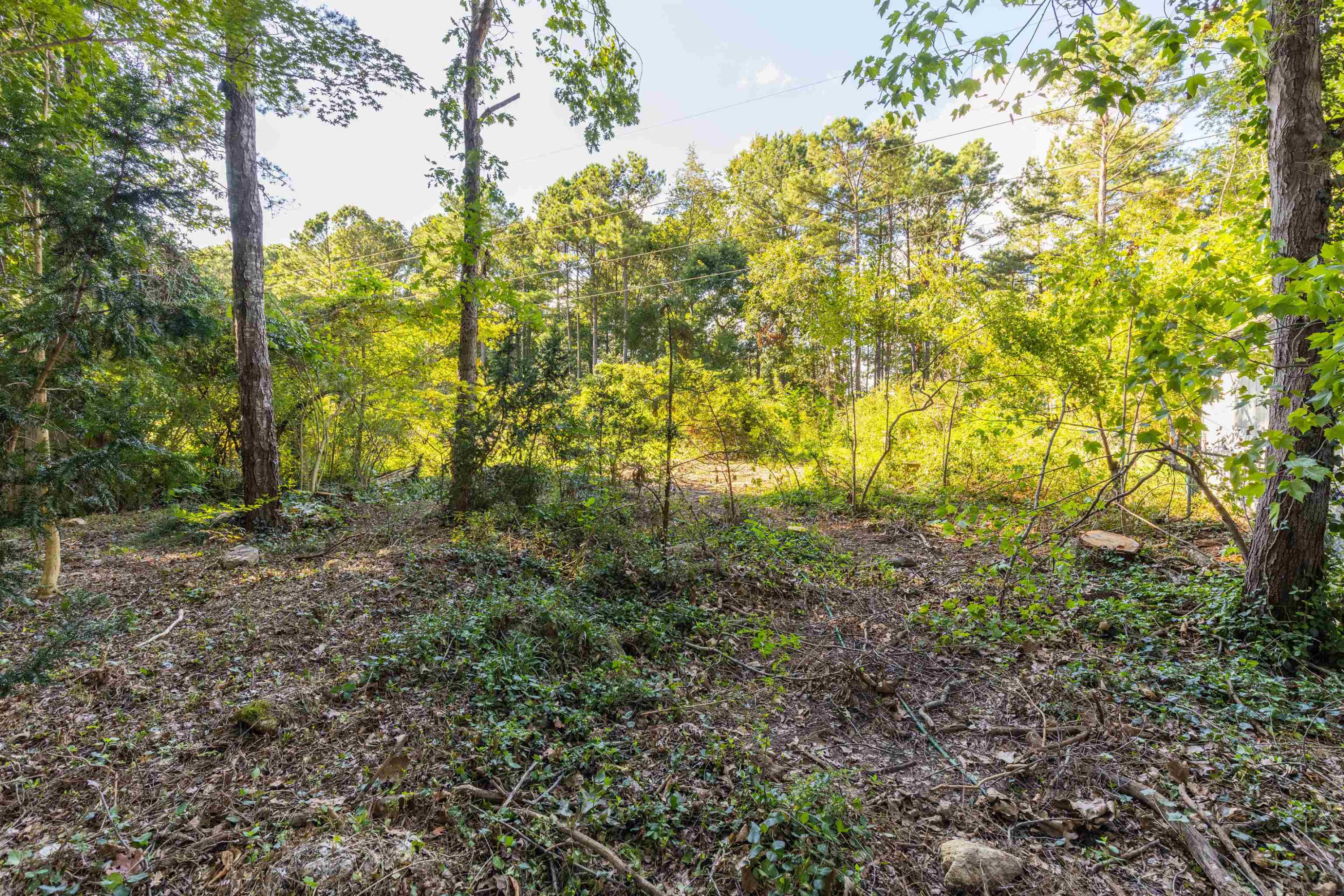 2116 Mariner Circle Raleigh, NC 27603 - Photo 14 of 42 Photo 14