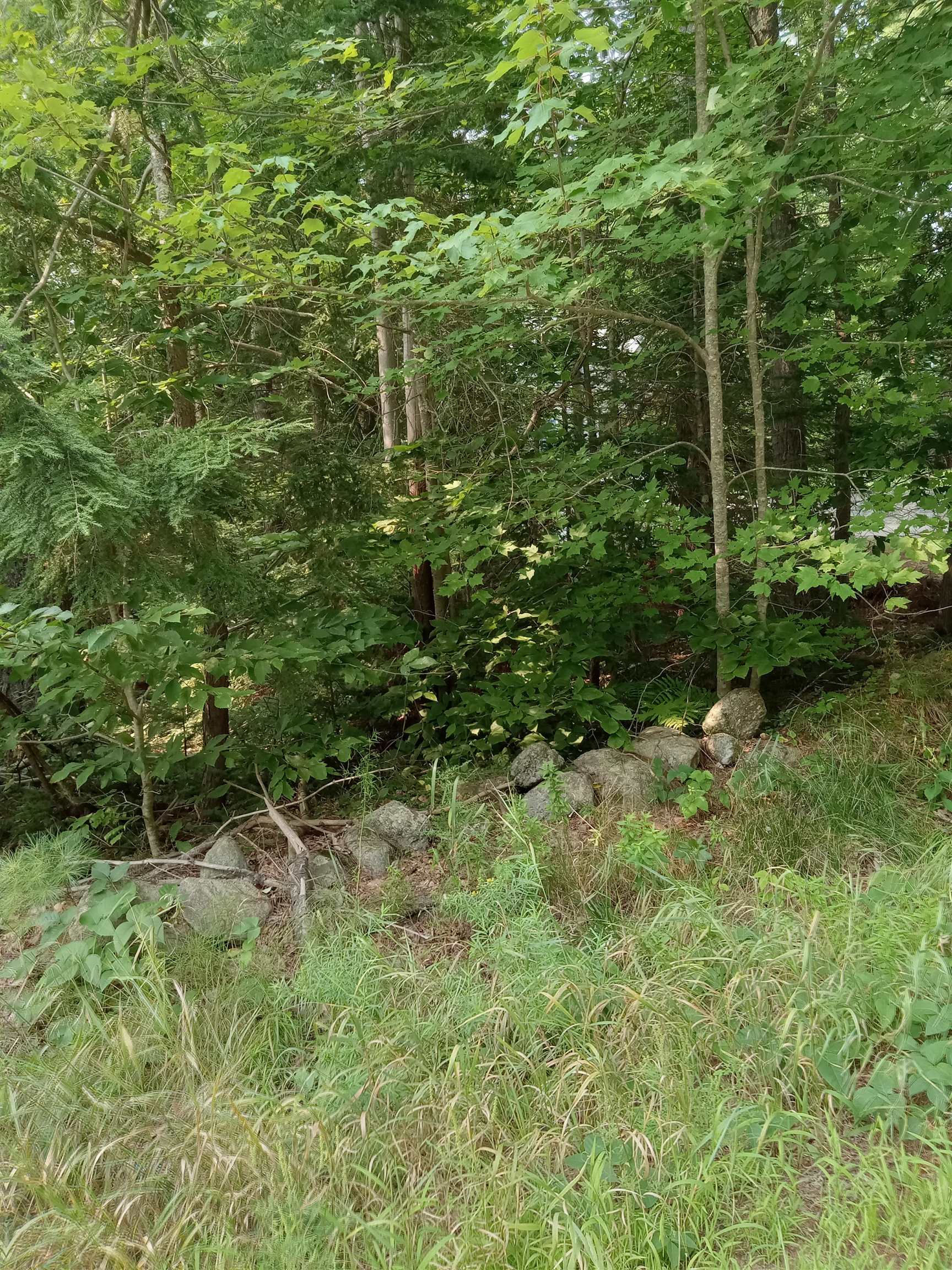Tbd Peacham Road Center Barnstead, NH 03225 - Photo 1 of 3