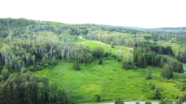 $60,000 | Lot 75 Brisse Culotte Road, St. Agatha, ME 04772