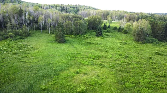 $60,000 | Lot 75 Brisse Culotte Road, St. Agatha, ME 04772