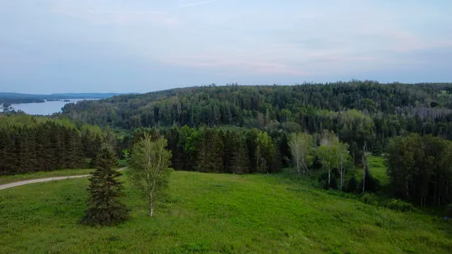 $60,000 | Lot 75 Brisse Culotte Road, St. Agatha, ME 04772