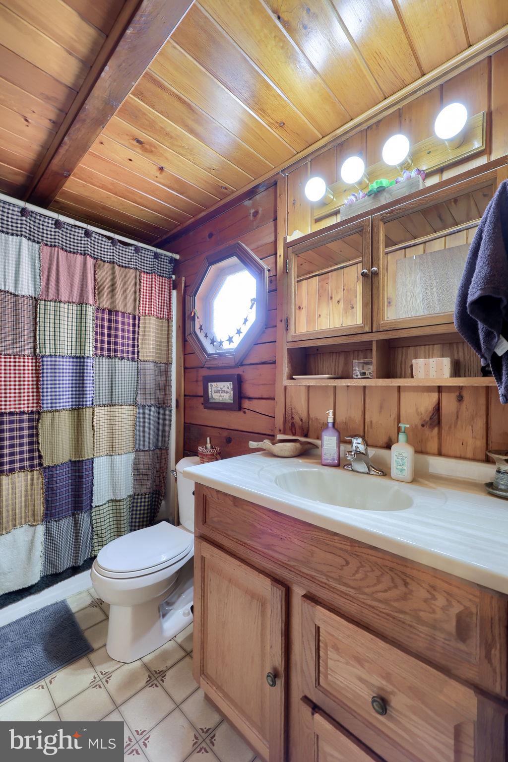 149 Douts Hill Road Holtwood, PA 17532 - Photo 19 of 77 a bathroom with a sink a toilet and shower