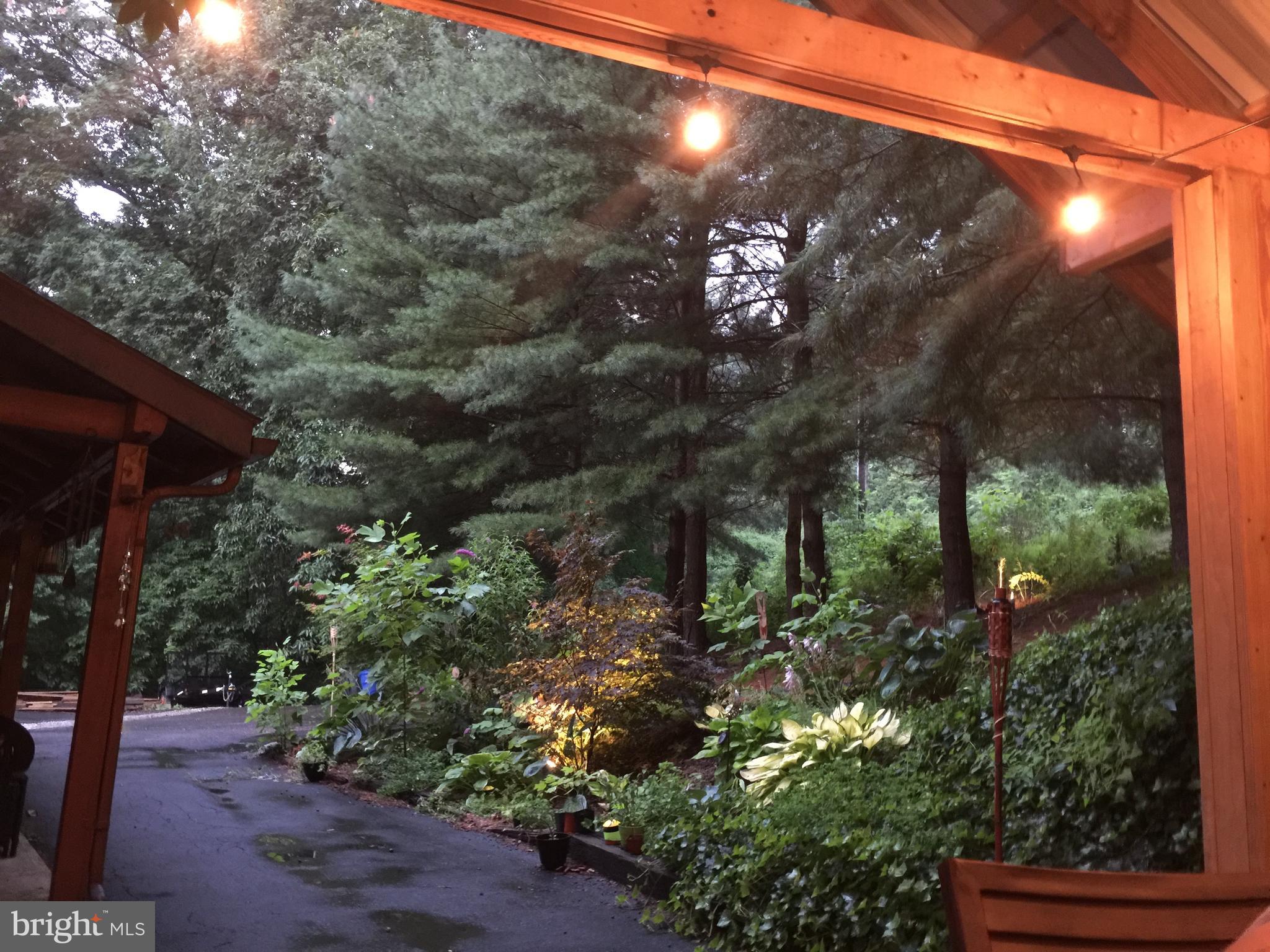 149 Douts Hill Road Holtwood, PA 17532 - Photo 53 of 77 a view of a yard with plants