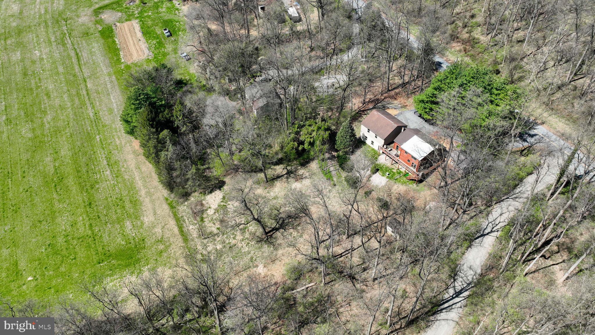 149 Douts Hill Road Holtwood, PA 17532 - Photo 69 of 77 a view of a yard with plants and large trees
