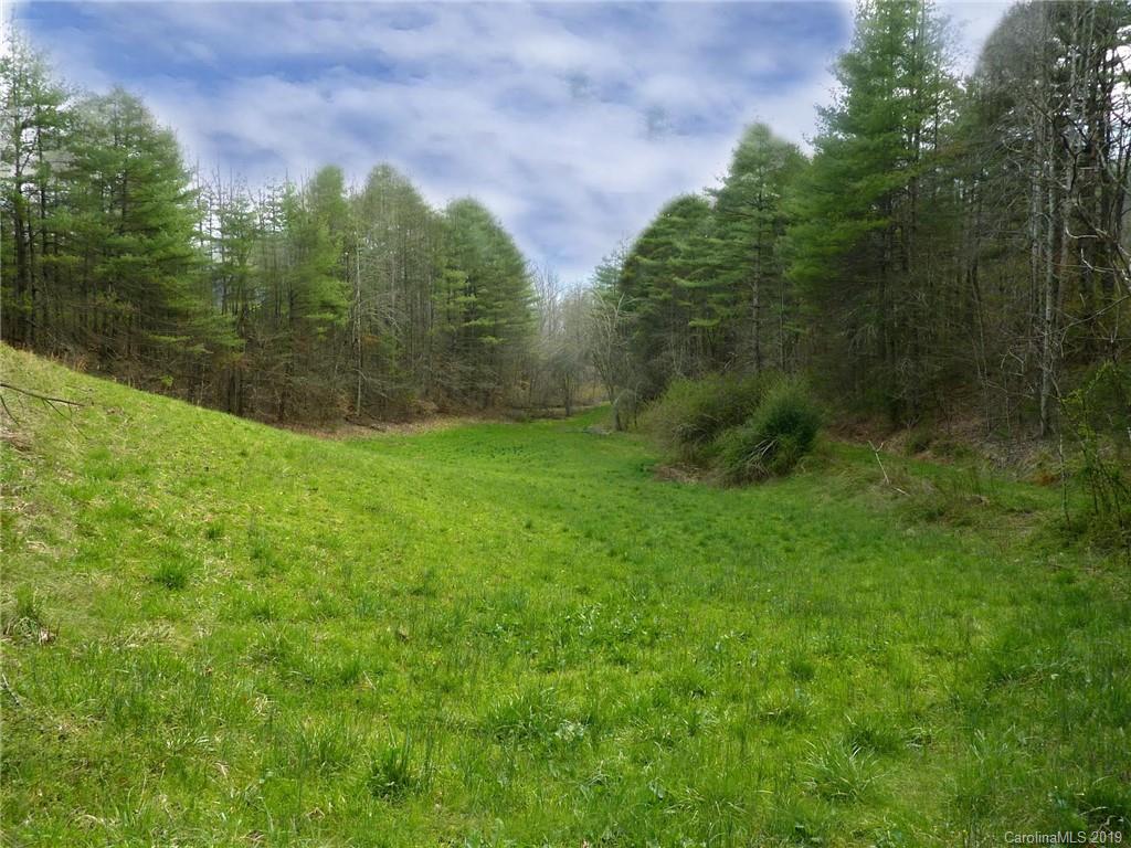 0 Cedar Cliff Road Marshall, NC 28753 - Photo 12 of 14 Gallery Image 12
