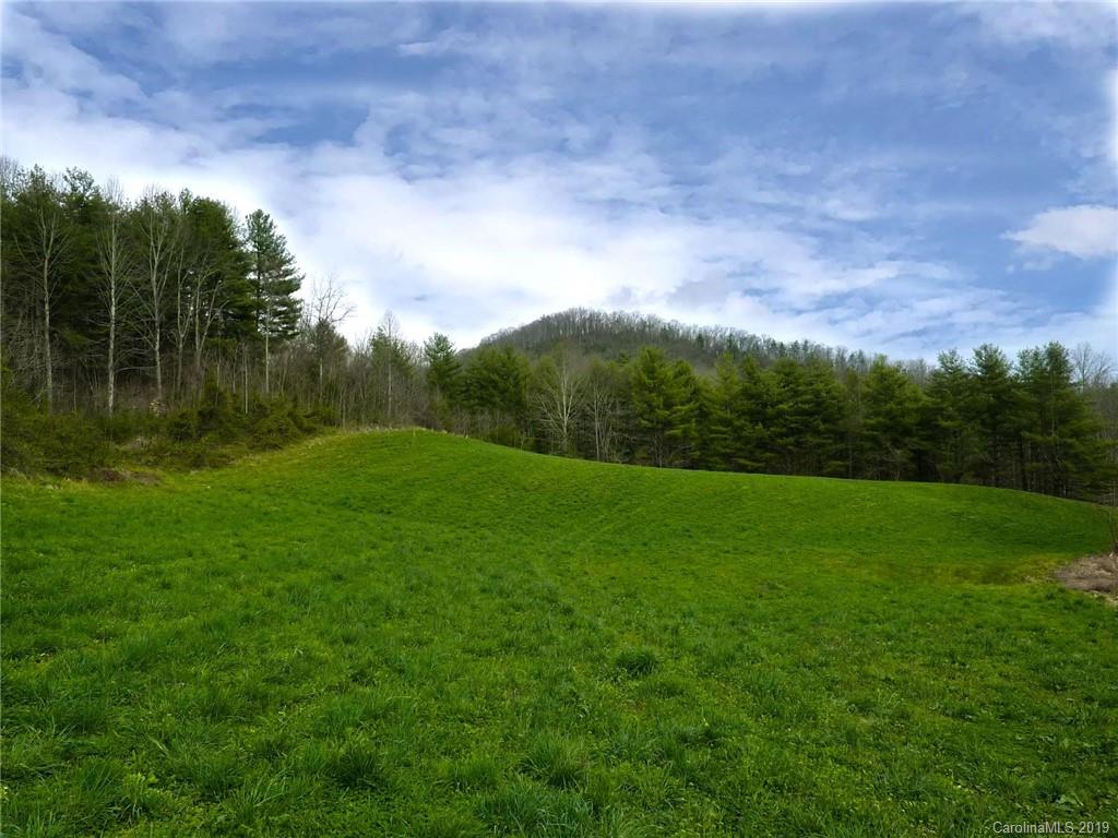 0 Cedar Cliff Road Marshall, NC 28753 - Photo 8 of 14 Gallery Image 8