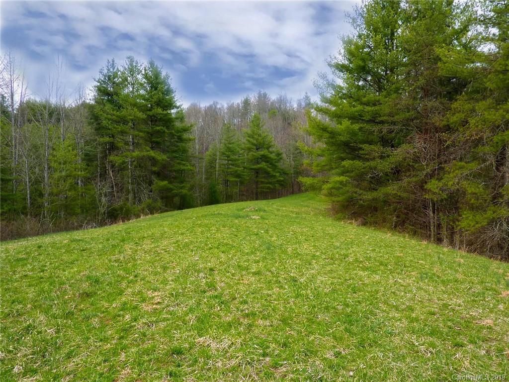 0 Cedar Cliff Road Marshall, NC 28753 - Photo 10 of 14 Gallery Image 10