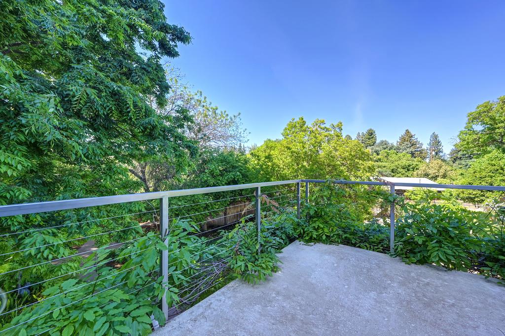 38318 Larue Way Davis, CA 95616 - Photo 61 of 92 a view of a yard with a tree in the background