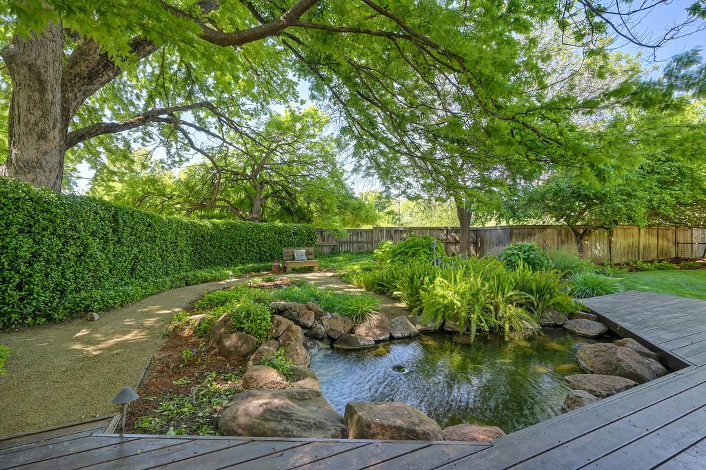 38318 Larue Way Davis, CA 95616 - Photo 67 of 92 a backyard of a house with lots of green space