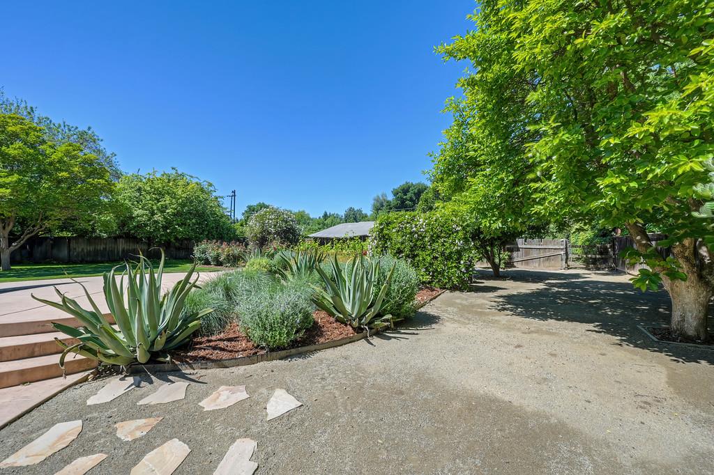 38318 Larue Way Davis, CA 95616 - Photo 70 of 92 a view of a street with plants and trees in the background