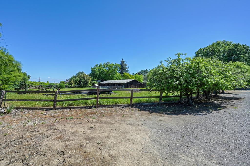 38318 Larue Way Davis, CA 95616 - Photo 78 of 92 a view of a park with large trees