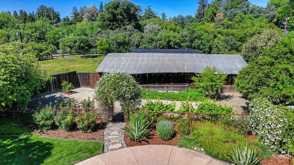 38318 Larue Way Davis, CA 95616 - Photo 79 of 92 a view of a garden with plants and large trees
