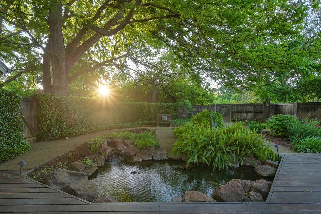 38318 Larue Way Davis, CA 95616 - Photo 82 of 92 a view of a backyard