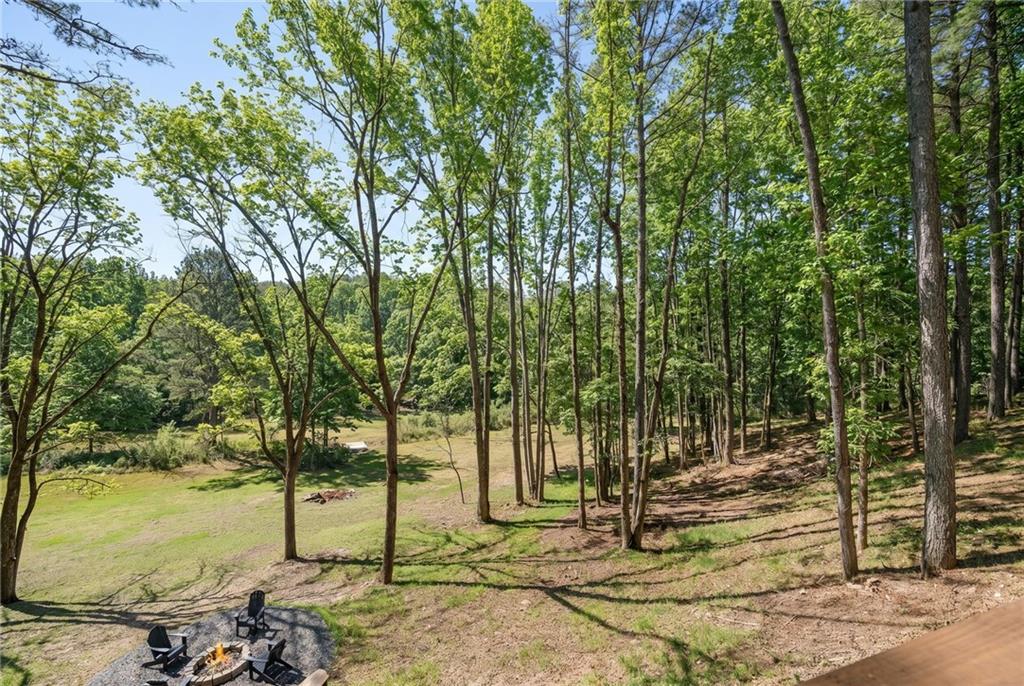 1783 4 Mile Church Road Ball Ground, GA 30107 - Photo 7 of 52