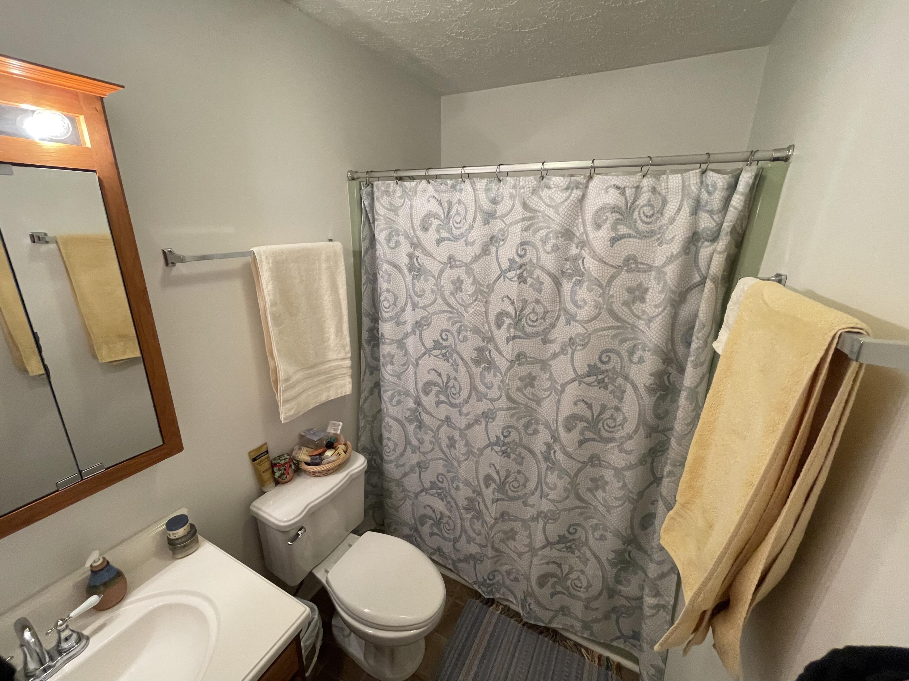 149 Ridgefield Road Southwest Wise, VA 24293 - Photo 19 of 59 master bathroom