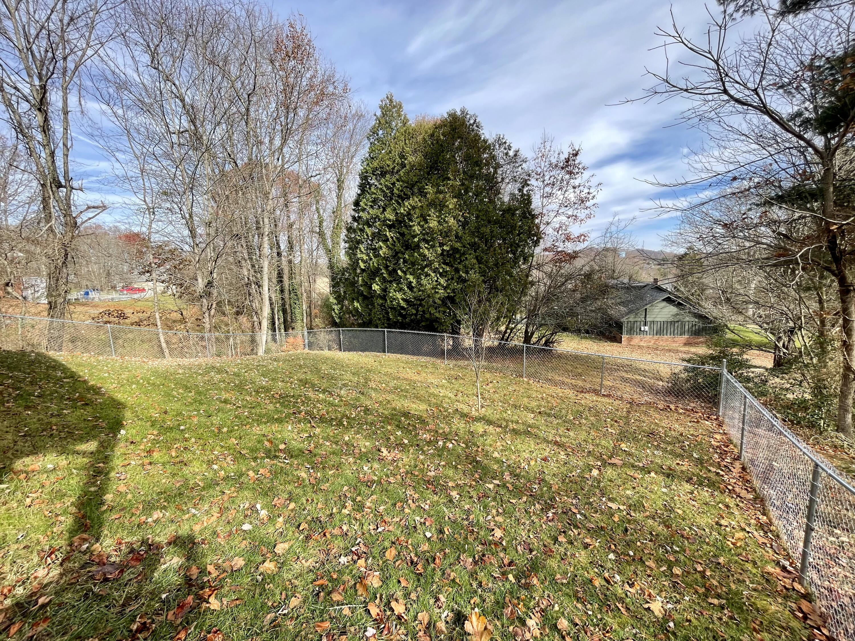 149 Ridgefield Road Southwest Wise, VA 24293 - Photo 58 of 59 fenced in yard